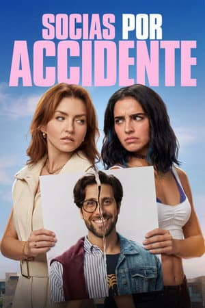 Poster for Accidental Partners