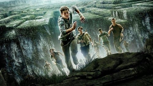 Backdrop for The Maze Runner