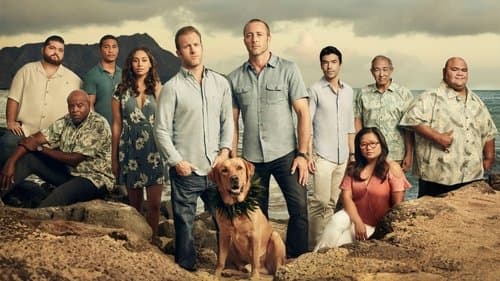 Backdrop for Hawaii Five-0